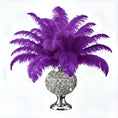 Load image into Gallery viewer, Ostrich Flexible Feathers 11-14" (Purple) - www.BuyOstrichFeathers.com
