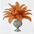 Load image into Gallery viewer, BULK 1/2lb Ostrich Feather Tail Plumes 15-20" (Copper) - www.BuyOstrichFeathers.com
