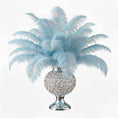 Load image into Gallery viewer, Ostrich Flexible Feathers 11-14" (Baby Blue) - www.BuyOstrichFeathers.com
