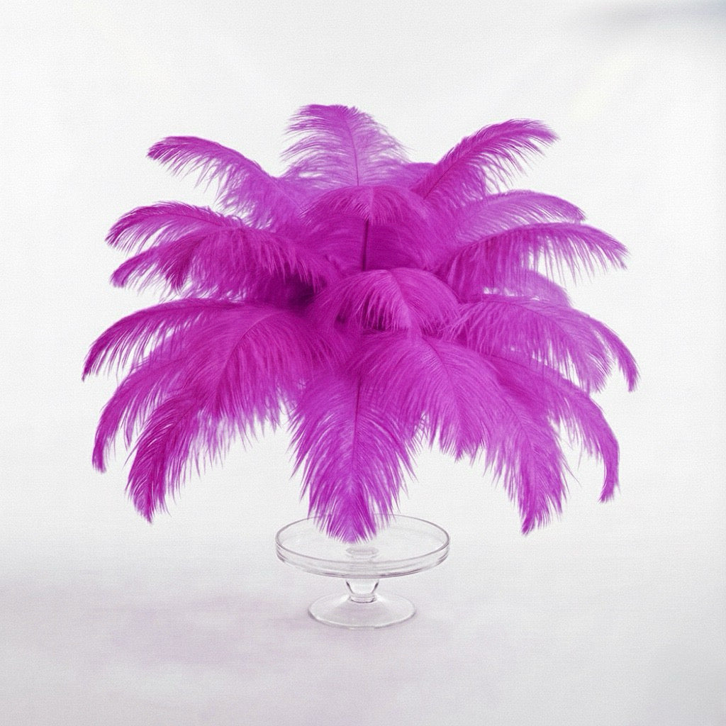 Ostrich Feather Tail Plumes 9-12" (Fuchsia) - www.BuyOstrichFeathers.com