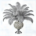 Load image into Gallery viewer, BULK 1/2lb Ostrich Feather Tail Plumes 15-20" (Silver/Grey) - www.BuyOstrichFeathers.com
