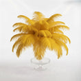 Load image into Gallery viewer, Ostrich Feather Tail Plumes 9-12" (Golden Yellow) - www.BuyOstrichFeathers.com
