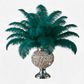 Load image into Gallery viewer, Ostrich Flexible Feathers 11-14" (Emerald Green) - www.BuyOstrichFeathers.com

