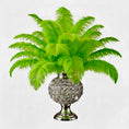 Load image into Gallery viewer, BULK 1/2lb Ostrich Feather Tail Plumes 15-20" (Lime Green) - www.BuyOstrichFeathers.com
