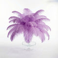 Load image into Gallery viewer, Ostrich Feather Tail Plumes 9-12" (Lavender) - www.BuyOstrichFeathers.com
