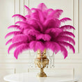 Load image into Gallery viewer, Ostrich Feather Rental 16-20" (Fuchsia) - 250pcs - www.BuyOstrichFeathers.com
