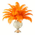 Load image into Gallery viewer, Ostrich Flexible Feathers 11-14" (Orange) - www.BuyOstrichFeathers.com
