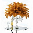 Load image into Gallery viewer, Ostrich Feather Tail Plumes 15-18" (Copper) - www.BuyOstrichFeathers.com
