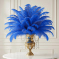 Load image into Gallery viewer, Ostrich Feather Rental 16-20" (Royal Blue) - 250pcs - www.BuyOstrichFeathers.com

