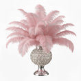 Load image into Gallery viewer, Ostrich Flexible Feathers 11-14" (Baby Pink) - www.BuyOstrichFeathers.com
