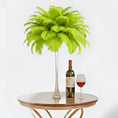 Load image into Gallery viewer, Ostrich Feather Tail Plumes 11-14" (Lime Green) - www.BuyOstrichFeathers.com
