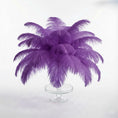 Load image into Gallery viewer, Ostrich Feather Tail Plumes 9-12" (Purple) - www.BuyOstrichFeathers.com
