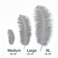 Load image into Gallery viewer, Ostrich Flexible Feathers 11-14" (Silver/Grey) - www.BuyOstrichFeathers.com
