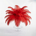Load image into Gallery viewer, Ostrich Feather Tail Plumes 9-12" (Red) - www.BuyOstrichFeathers.com
