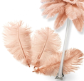 Load image into Gallery viewer, Complete Feather Centerpiece With 16" Vase (Champagne) - www.BuyOstrichFeathers.com

