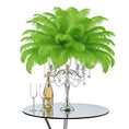 Load image into Gallery viewer, Ostrich Feather Spad Plumes 15-18" (Lime Green) - www.BuyOstrichFeathers.com
