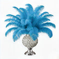 Load image into Gallery viewer, BULK 1/2lb Ostrich Feather Tail Plumes 15-20" (Turquoise) - www.BuyOstrichFeathers.com
