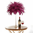 Load image into Gallery viewer, Ostrich Feather Tail Plumes 11-14" (Burgundy) - www.BuyOstrichFeathers.com
