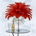Load image into Gallery viewer, Ostrich Flexible Feathers 13-16" (Red) - www.BuyOstrichFeathers.com

