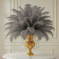 Load image into Gallery viewer, Ostrich Feather Rental 16-20" (Silver/Grey) - 250pcs - www.BuyOstrichFeathers.com
