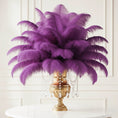 Load image into Gallery viewer, Ostrich Feather Rental 16-20" (Purple) - 250pcs - www.BuyOstrichFeathers.com

