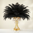 Load image into Gallery viewer, Ostrich Feather Rental 16-20" (Black) - 250pcs - www.BuyOstrichFeathers.com
