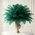 Load image into Gallery viewer, Ostrich Feather Rental 16-20" (Emerald Green) - 250pcs - www.BuyOstrichFeathers.com
