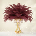 Load image into Gallery viewer, Ostrich Feather Rental 16-20" (Burgundy) - 250pcs - www.BuyOstrichFeathers.com
