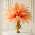 Load image into Gallery viewer, Ostrich Feather Rental 16-20" (Champagne) - 250pcs - www.BuyOstrichFeathers.com

