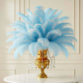 Load image into Gallery viewer, Ostrich Feather Rental 16-20" (Baby Blue) - 250pcs - www.BuyOstrichFeathers.com
