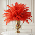 Load image into Gallery viewer, Ostrich Feather Rental 16-20" (Red) - 250pcs - www.BuyOstrichFeathers.com
