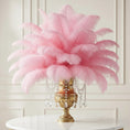 Load image into Gallery viewer, Ostrich Feather Rental 16-20" (Baby Pink) - 250pcs - www.BuyOstrichFeathers.com

