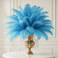 Load image into Gallery viewer, Ostrich Feather Tail Plumes 13-16" (Turquoise) - www.BuyOstrichFeathers.com
