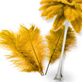 Load image into Gallery viewer, Complete Feather Centerpiece With 20" Vase (Golden Yellow) - www.BuyOstrichFeathers.com
