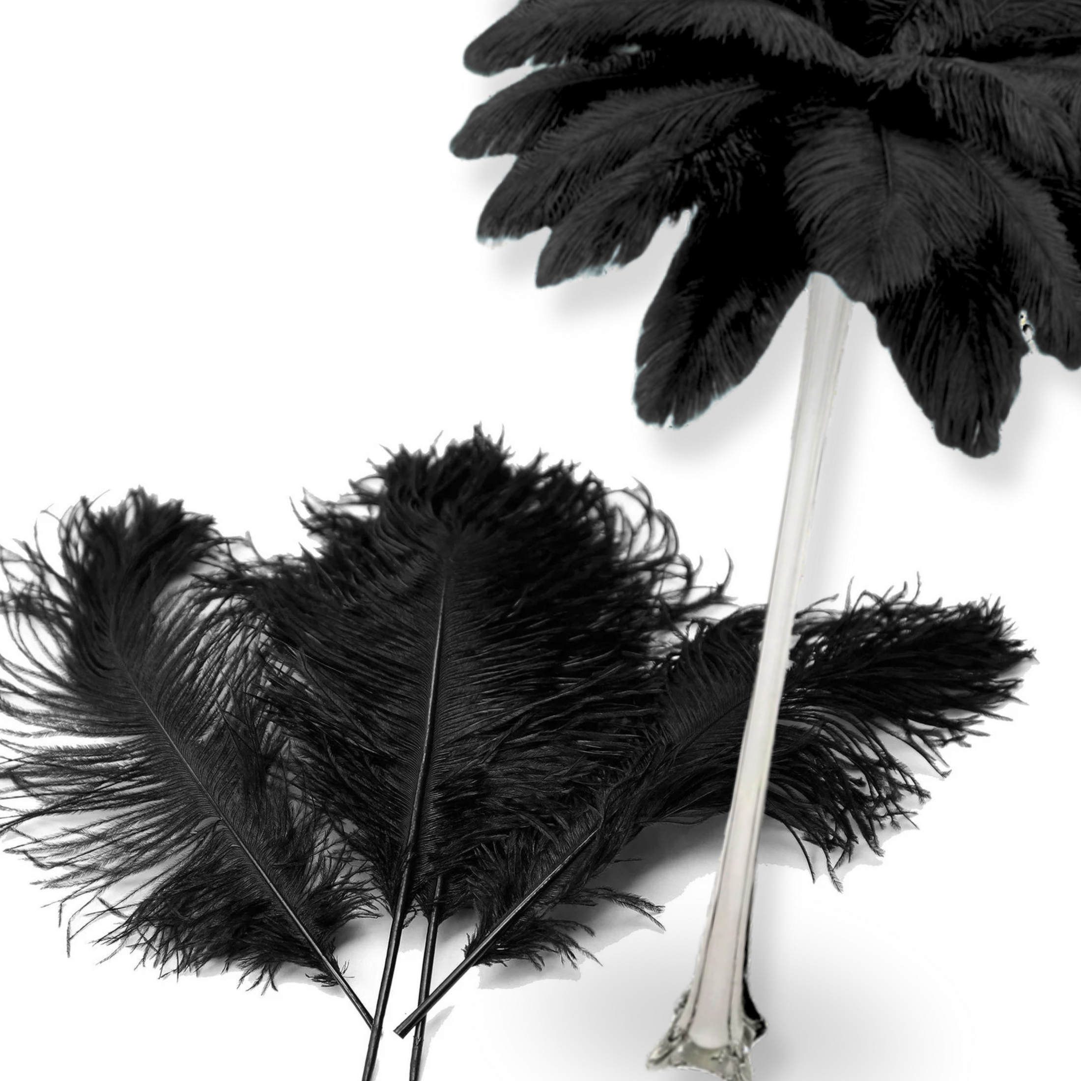 Complete Feather Centerpiece With 24" Vase (Black) - www.BuyOstrichFeathers.com