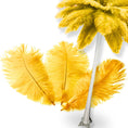 Load image into Gallery viewer, Complete Feather Centerpiece With 16" Vase (Yellow) - www.BuyOstrichFeathers.com

