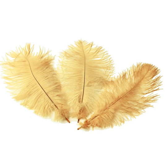 Ostrich Feather Tail Plumes 17-20" (Champagne) - www.BuyOstrichFeathers.com