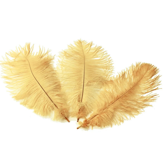 Ostrich Feather Tail Plumes 13-16" (Champagne) - www.BuyOstrichFeathers.com