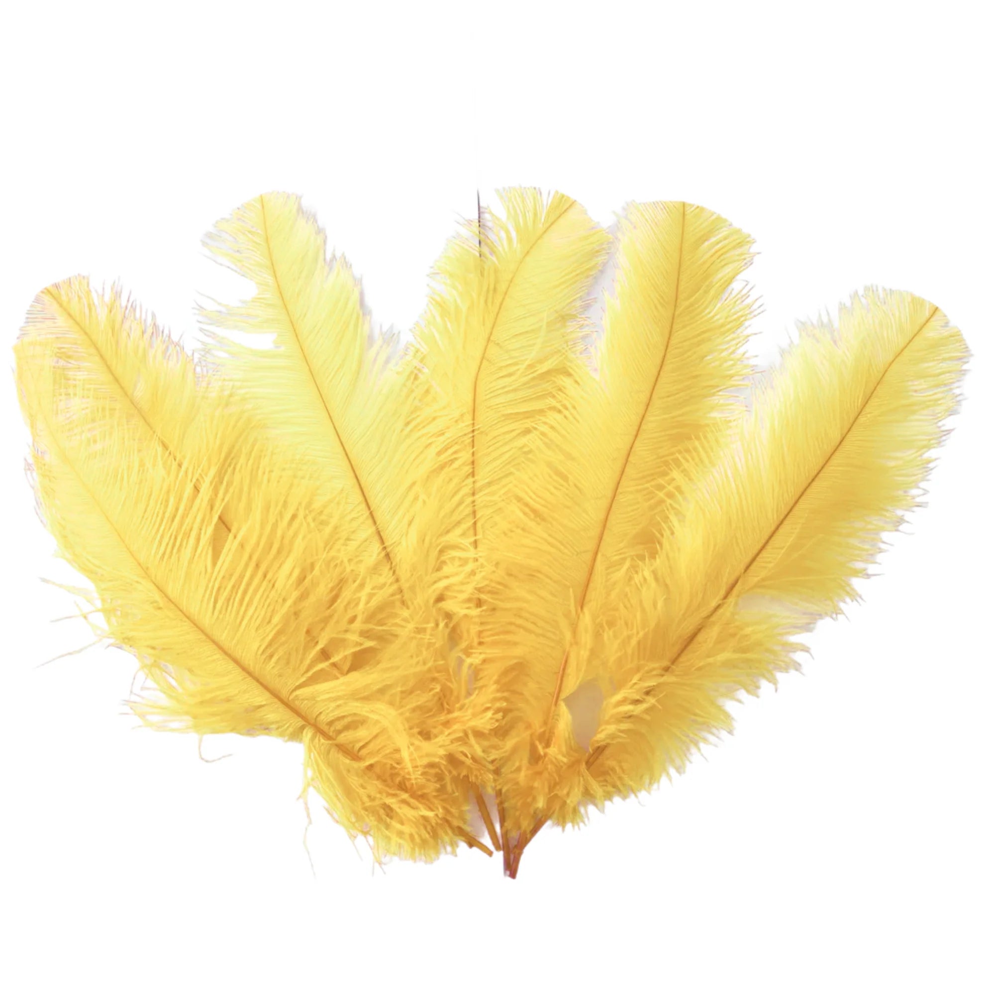 Ostrich Feather Spad Plumes 16-20" (Champagne) - www.BuyOstrichFeathers.com