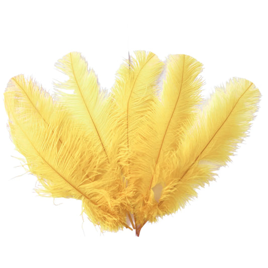 Ostrich Feather Spad Plumes 16-20" (Champagne) - www.BuyOstrichFeathers.com