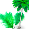 Load image into Gallery viewer, Complete Feather Centerpiece With 16" Vase (Lime Green) - www.BuyOstrichFeathers.com
