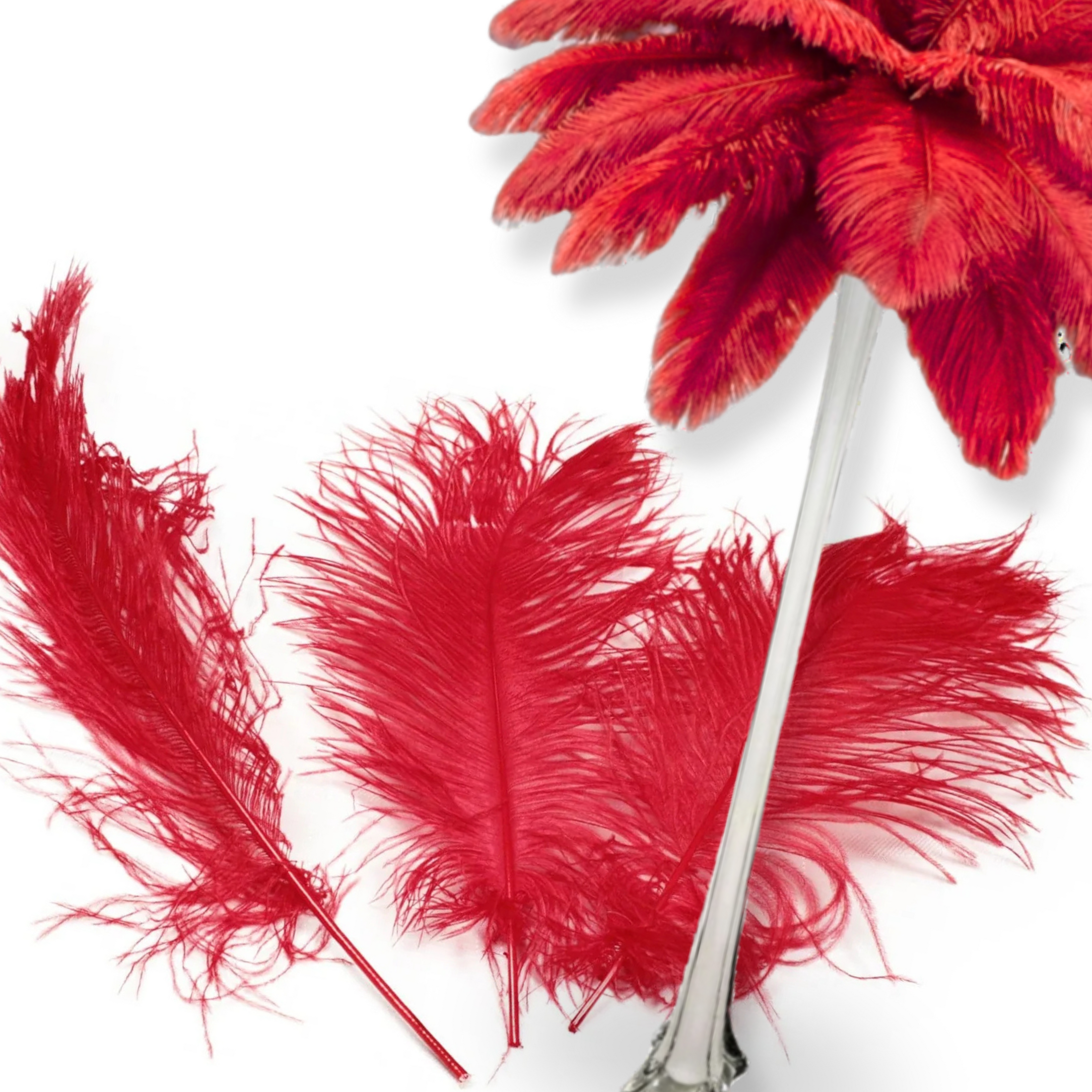 Complete Feather Centerpiece With 16" Vase (Red) - www.BuyOstrichFeathers.com