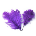 Load image into Gallery viewer, Ostrich Feather Tail Plumes 15-18" (Purple) - www.BuyOstrichFeathers.com
