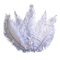 Load image into Gallery viewer, Ostrich Feather Spad Plumes 15-18" (White) - www.BuyOstrichFeathers.com
