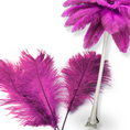 Load image into Gallery viewer, Complete Feather Centerpiece With 20" Vase (Rose Pink) - www.BuyOstrichFeathers.com
