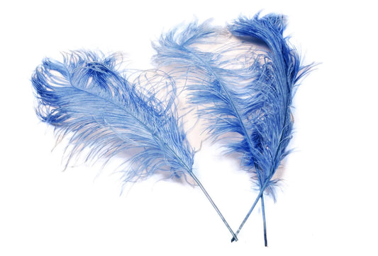 Ostrich Feather Tail Plumes 13-16" (Baby Blue) - www.BuyOstrichFeathers.com
