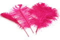 Load image into Gallery viewer, Ostrich Feather Tail Plumes 13-16" (Fuchsia) - www.BuyOstrichFeathers.com
