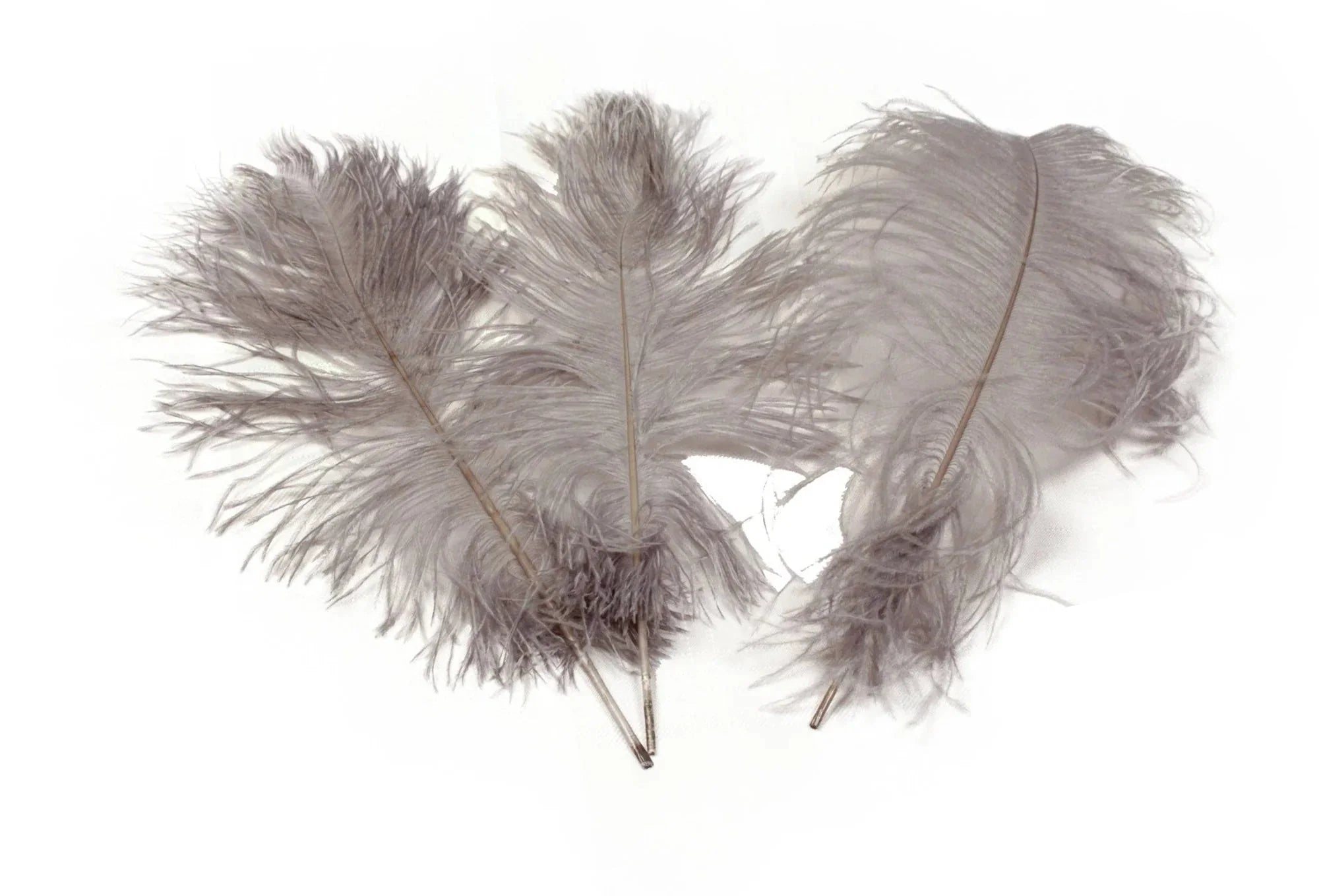 Ostrich Feather Tail Plumes 13-16" (Silver) - www.BuyOstrichFeathers.com