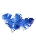 Load image into Gallery viewer, Ostrich Feather Tail Plumes 17-20" (Royal Blue) - www.BuyOstrichFeathers.com
