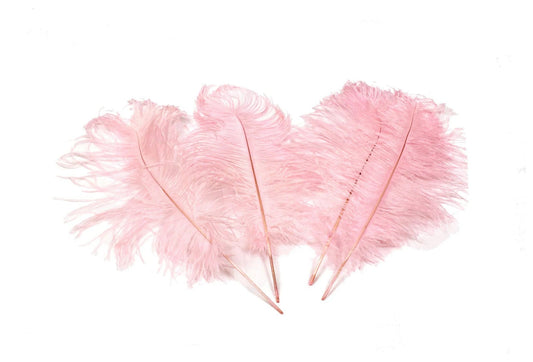 Ostrich Feather Tail Plumes 17-20" (Baby Pink) - www.BuyOstrichFeathers.com